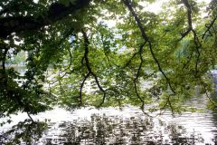 Rogaland - Stavanger - Byparken - Breiavatnet