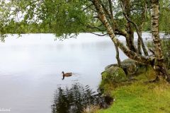Rogaland - Stavanger - Vannassen