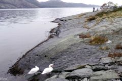 Rogaland - Stavanger - Gandsfjorden - Fra Strømsbrua til Mariero