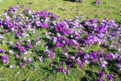 Rogaland - Stavanger - Byparken