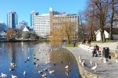 Rogaland - Stavanger - Byparken - Breiavatnet