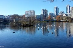 Rogaland - Stavanger - Byparken - Breiavatnet