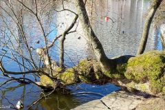 Rogaland - Stavanger - Byparken - Breiavatnet