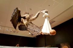 Rogaland - Stavanger - Stavanger Museum - Kulturhistorisk avdeling - Utstilling om graviditet