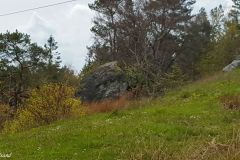 Rogaland - Stavanger - Flyttblokk sørvest for Sørmarkbakken (1)