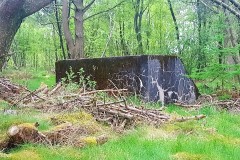 Rogaland - Stavanger - Sørmarka - Bardunfeste Amerikatelegrafen