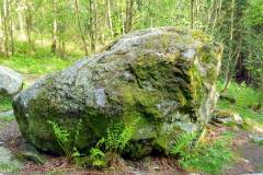 Rogaland - Stavanger - Ullandhaugskogen - Flyttblokk (2)