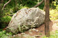 Rogaland - Stavanger - Ullandhaugskogen - Flyttblokk (4)