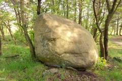 Rogaland - Stavanger - Ullandhaugskogen - Flyttblokk (6)