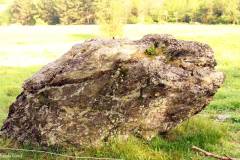 Rogaland - Stavanger - Ullandhaugskogen - Flyttblokk (8)