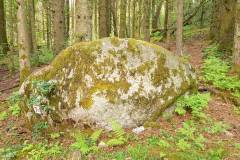 Rogaland - Stavanger - Ullandhaugskogen - Flyttblokk (10)