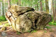 Rogaland - Stavanger - Ullandhaugskogen - Flyttblokk (11)