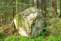 Rogaland - Stavanger - Ullandhaugskogen - Flyttblokk (14)