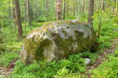 Rogaland - Stavanger - Ullandhaugskogen - Flyttblokk (15)