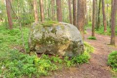 Rogaland - Stavanger - Ullandhaugskogen - Flyttblokk (16)