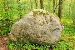 Rogaland - Stavanger - Ullandhaugskogen - Flyttblokk (17)