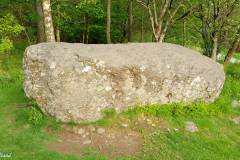 Rogaland - Stavanger - Ullandhaugskogen - Flyttblokk (18)