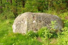 Rogaland - Stavanger - Ullandhaugskogen - Flyttblokk (19)
