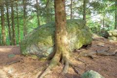 Rogaland - Stavanger - Ullandhaugskogen - Flyttblokk (20)