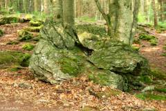 Rogaland - Stavanger - Ullandhaugskogen - Flyttblokk (21)