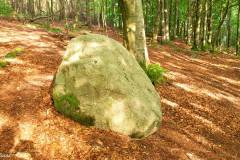 Rogaland - Stavanger - Ullandhaugskogen - Flyttblokk (22)