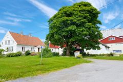 Rogaland - Stavanger - Ullandhaug Økologiske gård