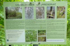 Rogaland - Stavanger - Gauselskogen naturreservat