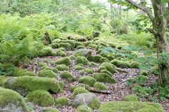 Rogaland - Stavanger - Gauselskogen naturreservat- Gravrøys