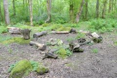 Rogaland - Stavanger - Gauselskogen naturreservat