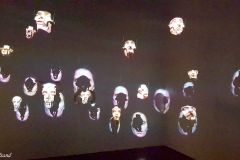 Rogaland - Stavanger - Stavanger Museum - Naturhistorisk del