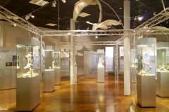 Rogaland - Stavanger - Stavanger Museum - Naturhistorisk del