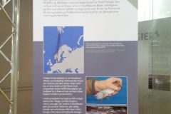 Rogaland - Stavanger - Stavanger Museum - Naturhistorisk del