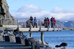 Rogaland - Stavanger - Hafrsfjord - Hestnes til Håhammeren - Håhammeren - Jærkysten