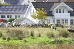 Rogaland - Stavanger - Store Stokkavatn