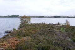 Rogaland - Stavanger - Store Stokkavatn - Vaskehusodden