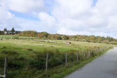 Rogaland - Stavanger - Store Stokkavatn