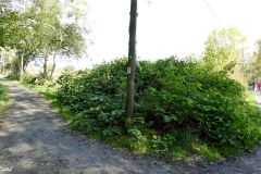 Rogaland - Stavanger - Store Stokkavatn - Nedre Tasta