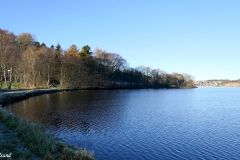 Rogaland - Stavanger - Hålandsvatnet - Kvernevikskogen