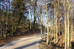 Rogaland - Stavanger - Hålandsvatnet - Kvernevikskogen