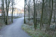 Rogaland - Stavanger - Hålandsvatnet - Kvernevikskogen