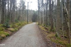 Rogaland - Stavanger - Sørmarka