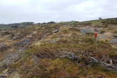 Rogaland - Stavanger - Bru