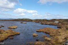 Rogaland - Stavanger - Rennesøy - Reianes
