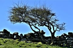 Rogaland - Stavanger - Rennesøy