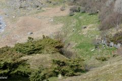 Rogaland - Stavanger - Rennesøy - Ned mot Hesthammeren fra Knott
