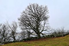 Rogaland - Stavanger - Rennesøy - Tur Flekkstad-Helland