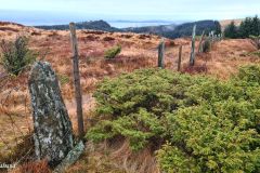 Rogaland - Stavanger - Rennesøy - Tur Flekstad-Helland