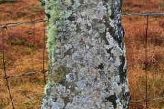 Rogaland - Stavanger - Rennesøy - Tur Flekkstad-Helland