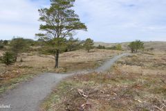 Rogaland - Stavanger - Rennesøy - Rennesøyhodnet