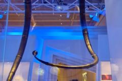 Rogaland - Stavanger - Arkeologisk museum